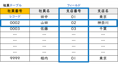 【ITパスポート教材】テーブル/レコード/フィールド/主キー/外部キーとは？ ぽんぱす